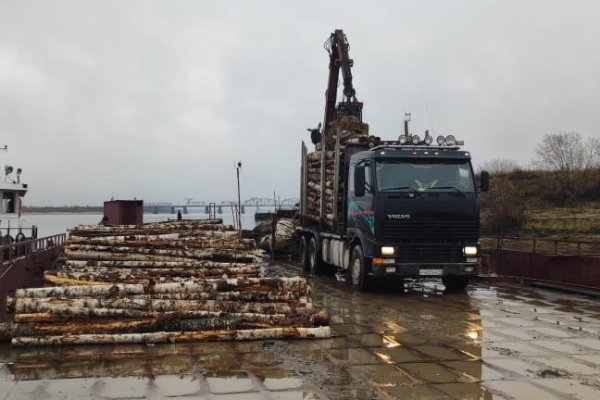 В Коми создана горячая линия по вопросам обеспечения граждан дровами