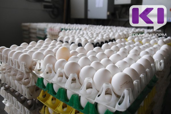 За год каждый житель Коми съел около 200 куриных яиц 