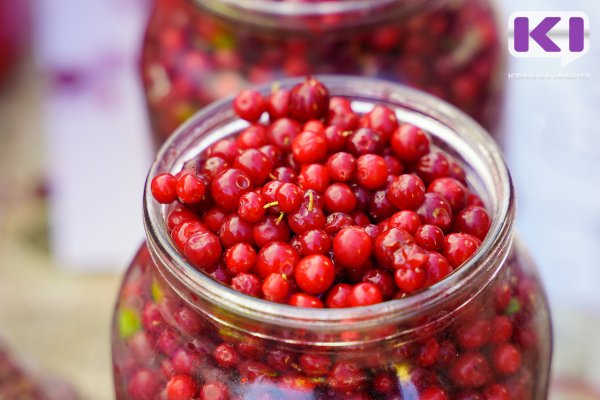 Верховный суд не засчитал жителю Княжпогостского района ягоды и варенье в счет погашения алиментов 


