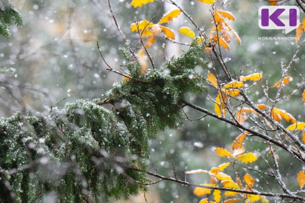 Погода в Коми 20 октября: мокрый снег, -2...+3°С