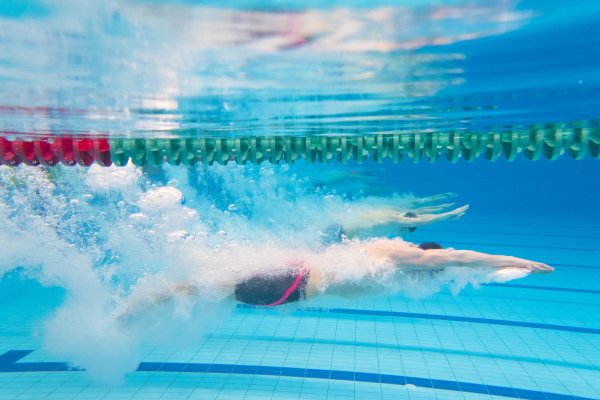 На чемпионате и первенстве СЗФО по плаванию у сборной Коми ещё 6 медалей