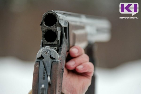 Выслушал приговор житель Усть-Куломского района, выстреливший из ружья через дверь в сожительницу