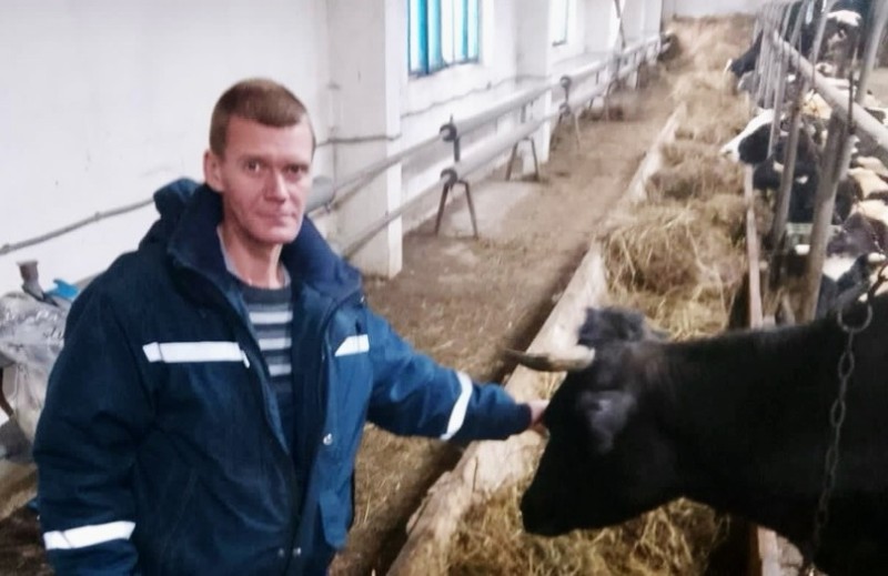 Сотрудники "Спас-Коми" помогают в перевозке вуктыльских коров на новое место жительства 