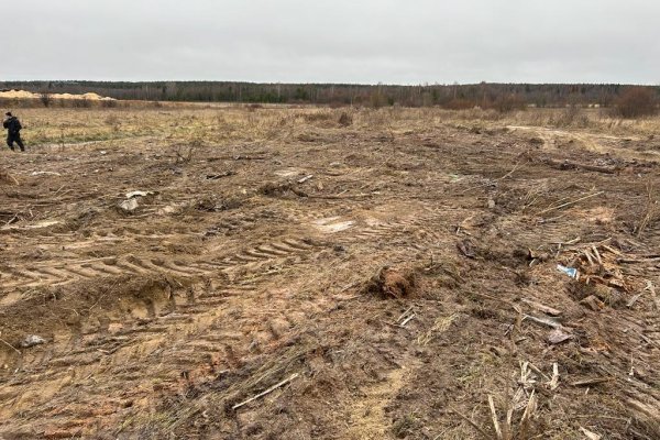 В Прилузье арендатор ликвидировал свалку на землях сельхозназначения 

