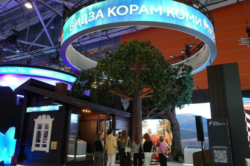 Жители Коми могут проголосовать за лучший павильон на выставке "Россия"

