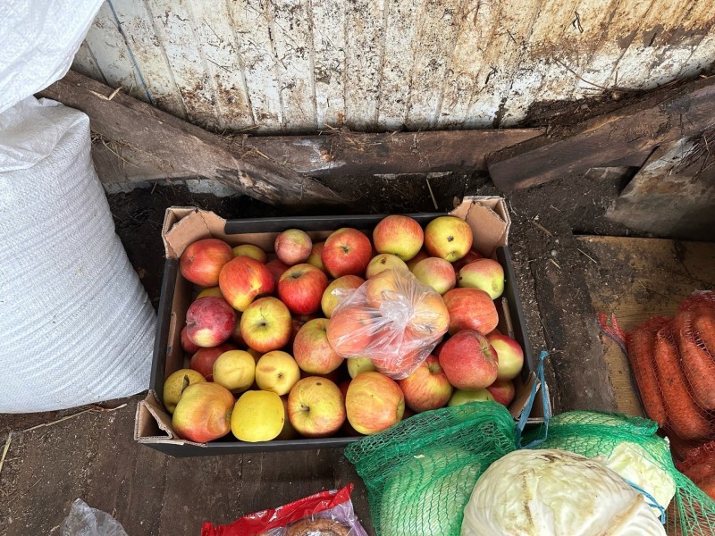 Сливы, яблоки и булочки с маком: жители Коми передали корм сыктывкарскому конному центру 