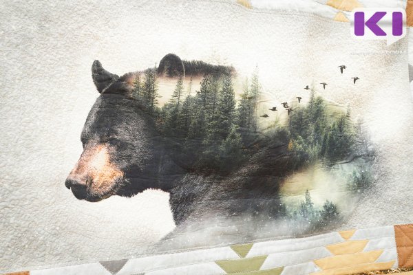 Стали известны обстоятельства нападения медведя на лесозаготовителей в Троицко-Печорском районе
