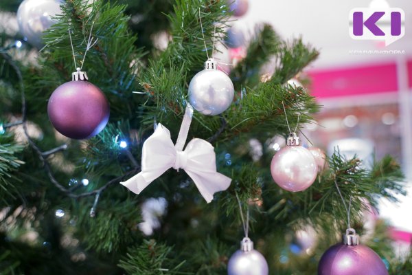 Синдром рождественской елки: терапевт пояснила, чем может навредить новогодняя ель