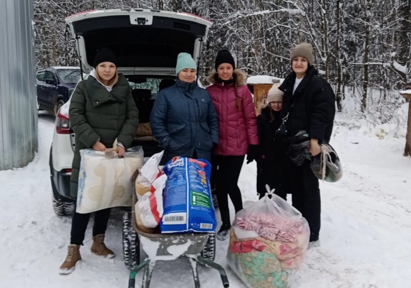 Сотрудники АО "Коми энергосбытовая компания" организовали сбор помощи приютам для животных Сыктывкара