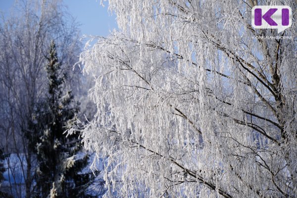 Аномально холодная погода задержится в Коми по 7 января
