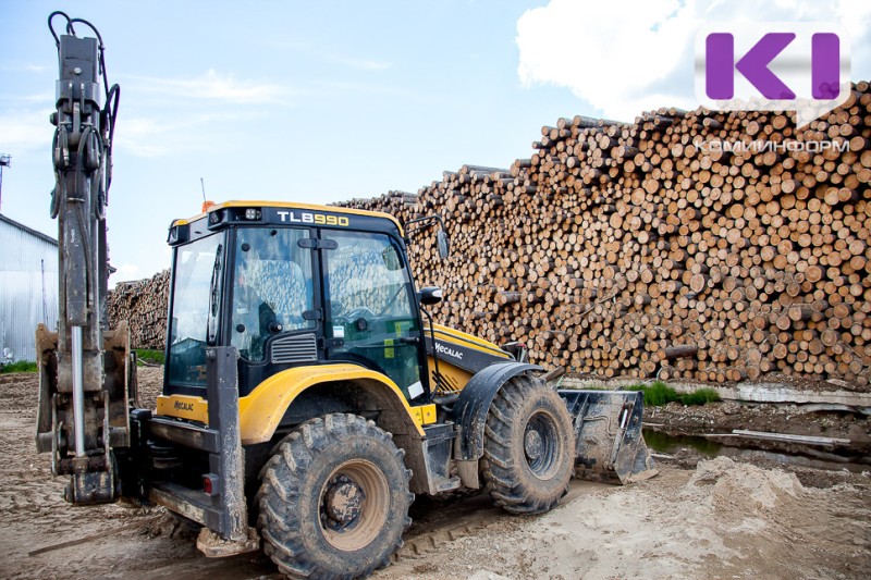 Управление Россельхознадзора не допустило вывоз 6216 куб. м зараженной древесины из Коми