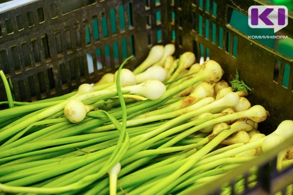 Каждый житель Коми в среднем съедает 10 килограммов лука и чеснока в год