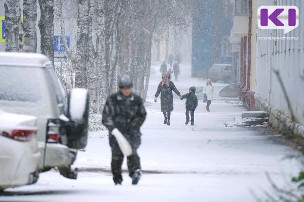 Погода в Коми 18 января: снег, местами метель