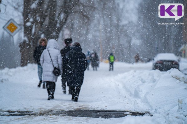Погода в Коми 22 января: небольшой снег, -16°С