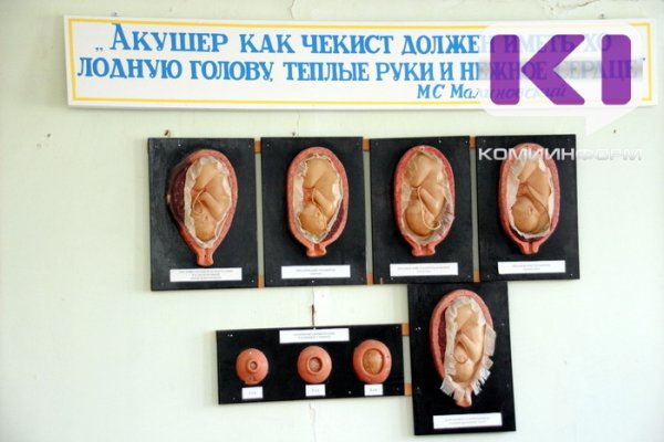 В Коми снижается количество медицинских абортов 
