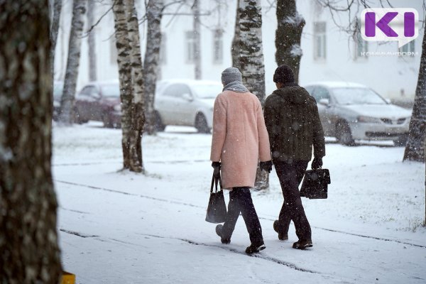 Погода в Коми 23 января: снег и ветер, но потеплеет