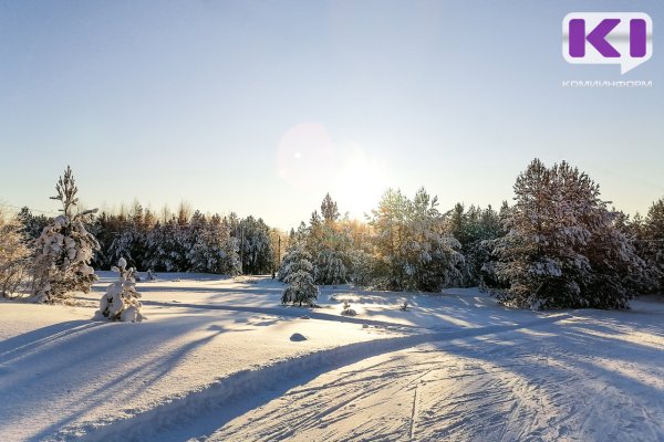 Погода в Коми 28 января: местами снег, гололед, -4...-9°С