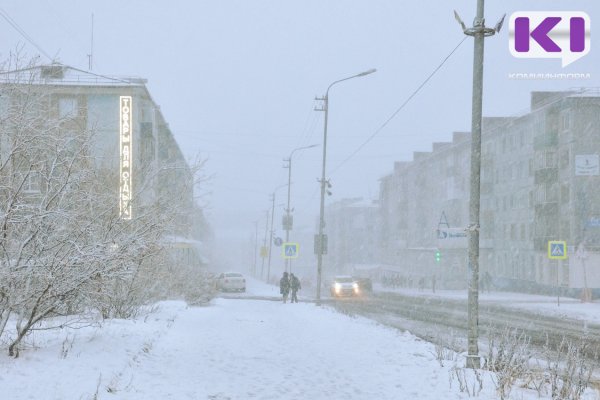 Погода в Коми 30 января: снег, гололед, -4...+1°С
