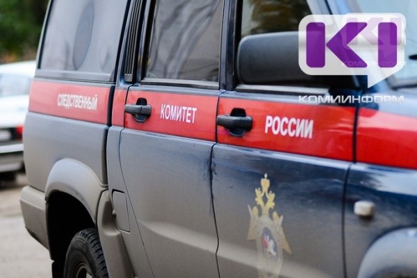 Глава СК РФ поручил возбудить дело после нападения собак на маленькую ухтинку 