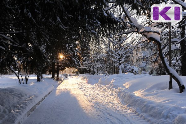 Погода в Коми 2 февраля: небольшой снег, гололед, -3...-8°С