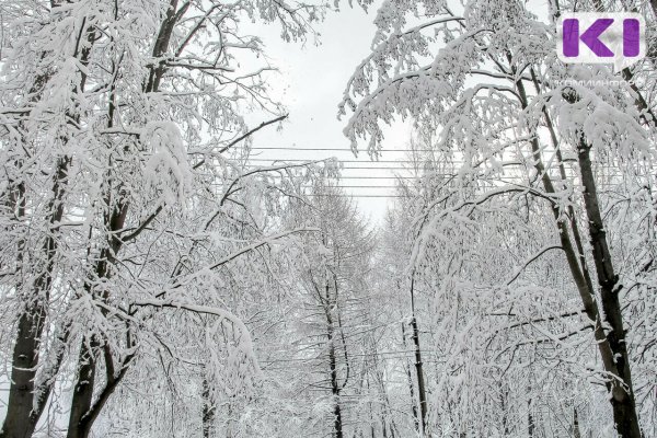 Погода в Коми 5 февраля: небольшой снег, -19...-21 °C