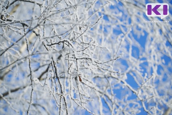 Погода в Коми 13 февраля: на севере мороз, на юге снег