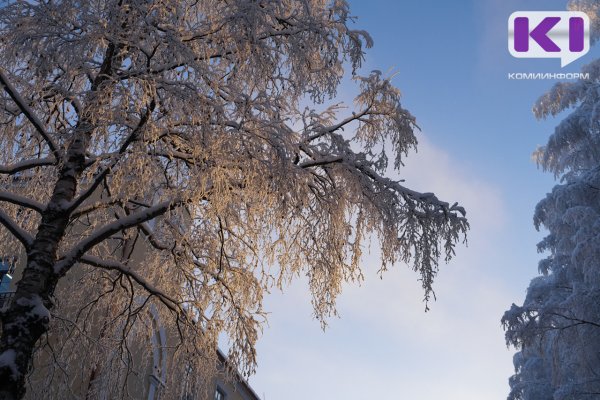 Погода в Коми 16 февраля: южный ветер, мороз ослабнет
