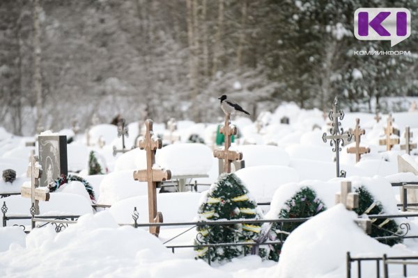 Житель Печоры отомстил коллеге, разбив могильные памятники ее умерших родственников