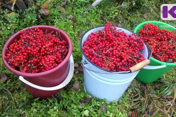 Основные поставки аграрного экспорта в Коми составляют кофе и дикоросы