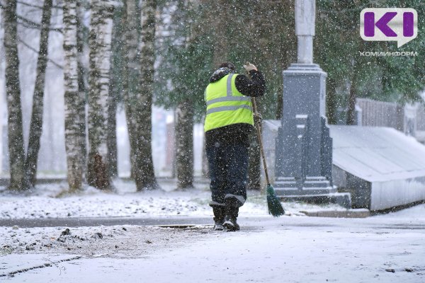 В Сыктывкаре с начала зимы на полигон вывезли 213 тысяч кубометров снега