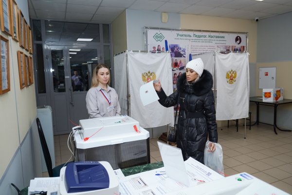 В Коми обработано более трети протоколов, на президентских выборах лидирует Владимир Путин