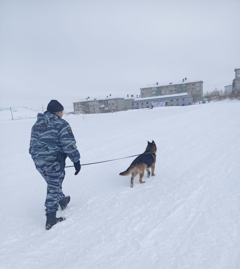 В Воркуте сотрудники ОМОН "Арктика" обследовали места проведения Всероссийской лыжной гонки "Лыжня России"