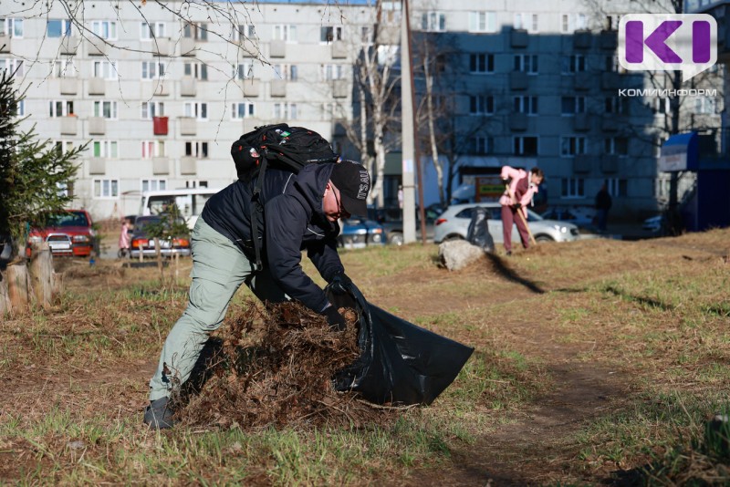 Субботники "Зеленая весна — 2024" в Сыктывкаре пройдут 27 апреля и 4 мая