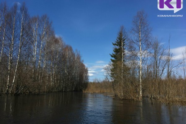 В Коми на реке Вашка уровень воды превысил неблагоприятную отметку и продолжает расти