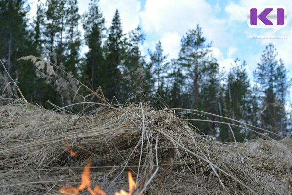 Какие районы Сыктывкара наиболее подвержены природным пожарам 