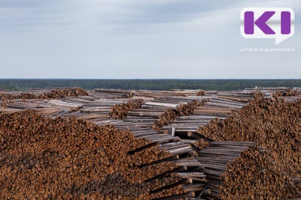 В Коми решают вопрос о хранении и утилизации более 3 тыс. кубометров конфискованных лесоматериалов