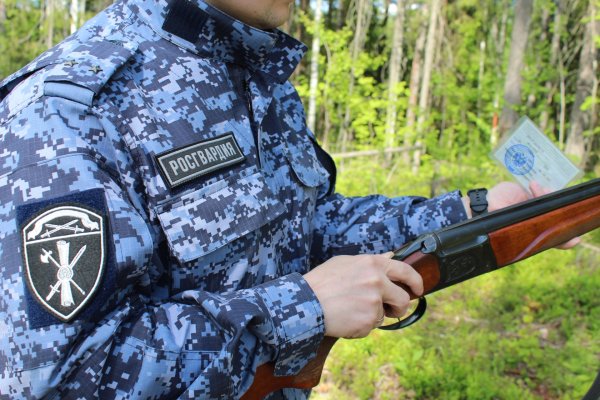 В Коми за неделю росгвардейцы изъяли 7 единиц охотничьего оружия

