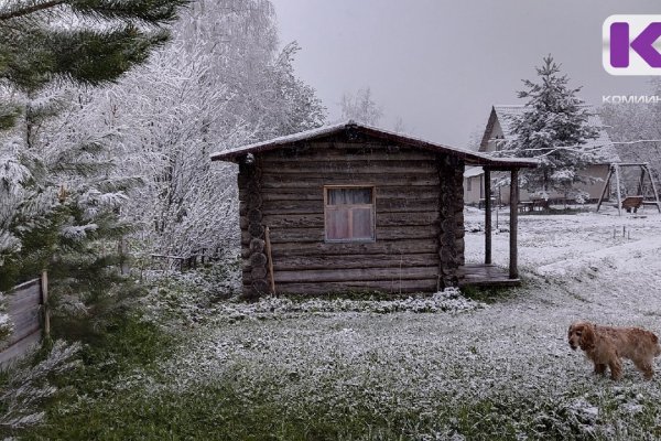 Погода в Коми 22 мая: на большей части республики выпадет снег