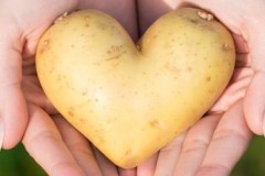 Почему люди любят картофель