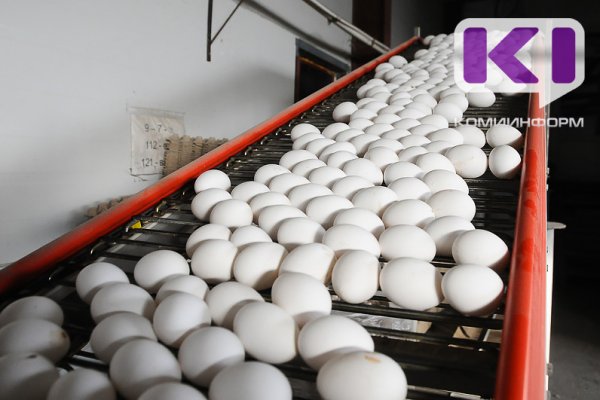 Сельскохозяйственные организации Коми с начала года произвели 31,2 млн яиц 