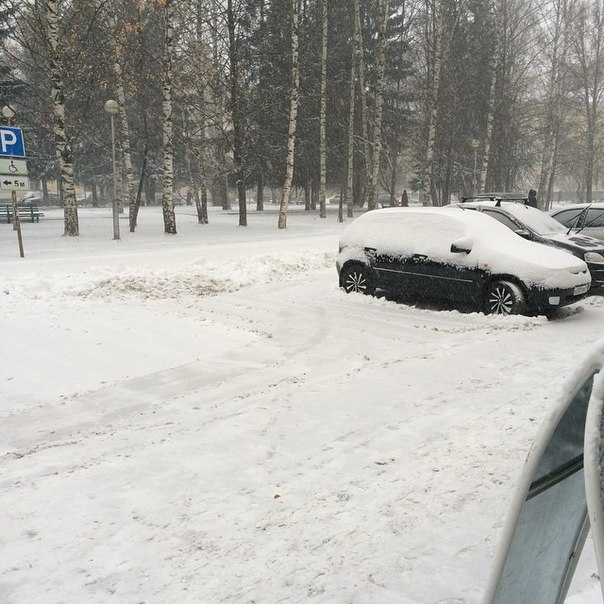 Снег в Коми выпал ненадолго