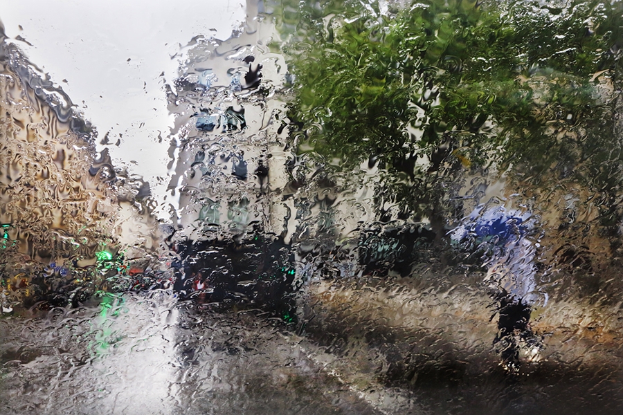 Лето в серых тонах: в Коми снова неделя плохой погоды