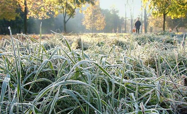 Холодное лето 2015-го: В Сыктывкаре побит температурный рекорд  1989 года