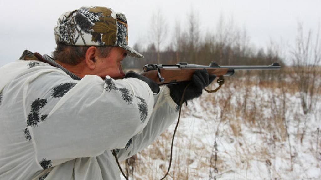 В Усть-Вымском районе вынесен очередной приговор за незаконную охоту на лося