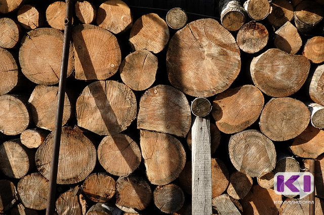 Сосногорский коммерсант украл у государства лес более чем на 300 тысяч