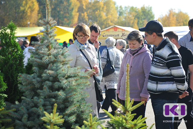 Ярмарка выходного дня в Сыктывкаре останется на территории бывшего Центрального рынка