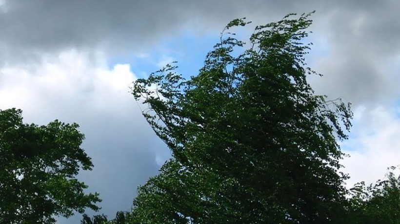 На юго-западе Коми и в Сыктывкаре объявлено штормовое предупреждение