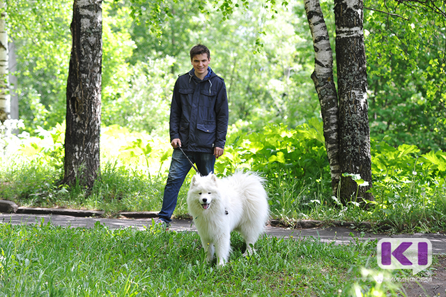 Сыктывкарские волонтеры рассказали владельцам  собак  о правилах выгула питомцев