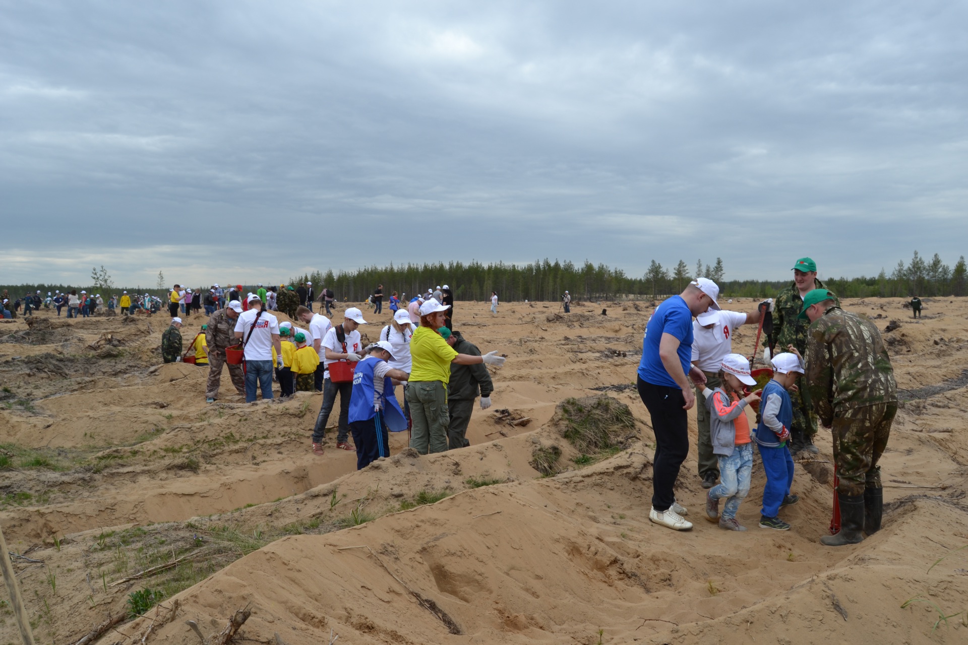 В Коми в преддверии Года экологии провели 40 мероприятий по посадке деревьев