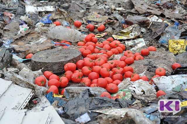 В Ухте уничтожили 2,5 тонны томатов, груш, яблок и пекинской капусты

